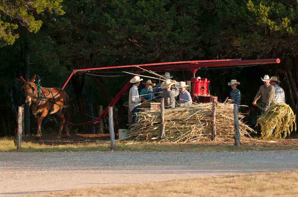 Labor Day Sorghum Festival